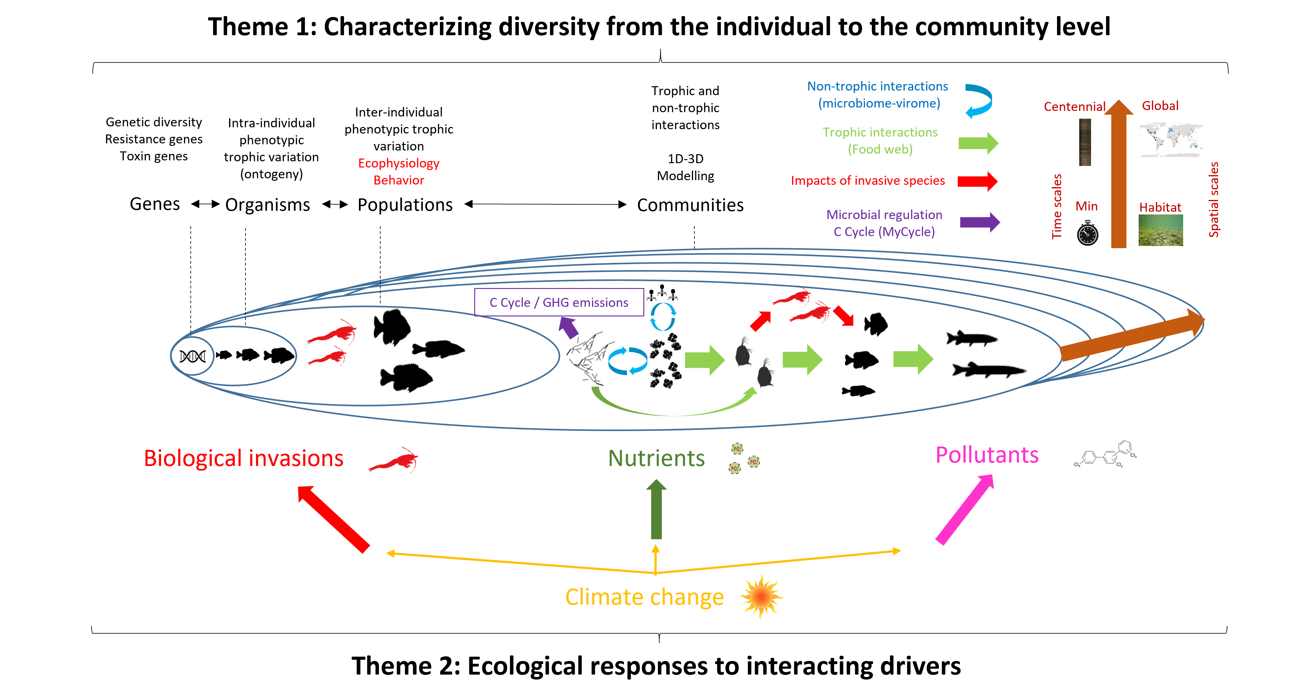 Synthèse_BIOTIC.png Synthèse_BIOTIC.png