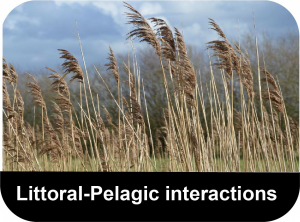 Littoral-Pelagic-interactions-button