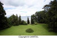 view-carrtel-park