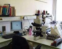 Microscope droit avec systèmes d'acquisition d'images