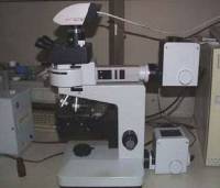 Microscope optique droit avec systèmes d'acquisition d'images