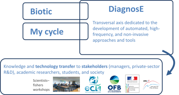 Schema_synthese_Diagnose.png