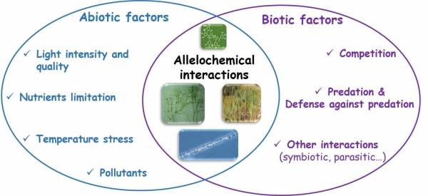 abiotic-factors
