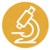 Logo_Diagnose.png